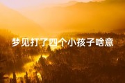 梦见打了四个小孩子啥意思—梦见打了四个小孩子啥意思啊