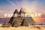 梦见抓到一只老鼠给弄死了-梦见捉了一只老鼠把它打死了