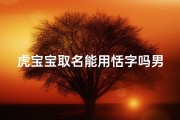 虎宝宝取名能用恬字吗男孩;虎宝宝男孩恬静如画：恬字取名新风尚