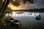 虎年男宝宝名字吕姓_吕姓虎年男宝宝：威武雄心，未来可期