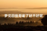 梦见回我哥家了好不好呢_梦到哥哥回老家