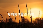 号码测试吉凶 11位、号码测试吉凶 易经11位