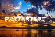 梦见兔子到院子里来了—梦见兔子跑进家里打什么码
