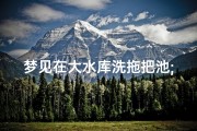 梦见在大水库洗拖把池;梦见在清澈的水里洗拖把