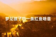 梦见孩子钓一条红鱼啥意思-梦见自己孩子钓一条大鱼