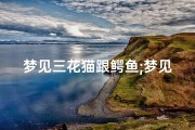 梦见三花猫跟鳄鱼;梦见猫和鳄鱼打架猫胜