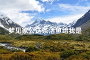 梦见家公送条活鱼给我是什么征兆、梦见有送鱼给我什么兆头
