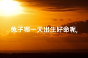 兔子哪一天出生好命呢,《兔年吉日：揭秘兔子出生好命的最佳时间》