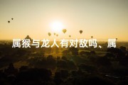 属猴与龙人有对敌吗、属猴人跟属龙人合吗？
