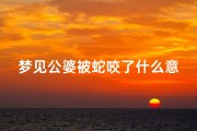 梦见公婆被蛇咬了什么意思—梦见婆婆被蛇咬了一口
