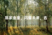 陈家金童，闪耀未来，吉祥如意宝宝名