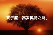 双子座：赛罗奥特之谜，揭秘双子座身份
