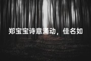 郑宝宝诗意涌动，佳名如画映眼前