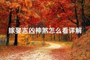 嫁娶吉凶神煞怎么看详解—嫁娶吉凶神煞解析：揭秘婚姻吉凶奥秘