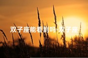 双子座能看到吗-双子座：信息分辨达人，准确度如何？