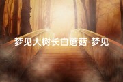 梦见大树长白蘑菇-梦见树上长满白色蘑菇