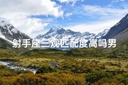 射手座三观匹配度高吗男生