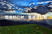 酒逢知己时，黄道吉日醉月华