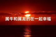 属牛和属龙的在一起幸福吗_属牛属龙能否共谱幸福曲