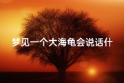 梦见一个大海龟会说话什么意思、梦到一只大海龟