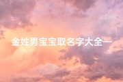 金姓男宝宝取名字大全—《金姓男宝宝取名大全：精选美名助成长》