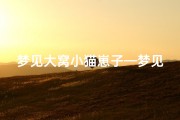 梦见大窝小猫崽子—梦见一大窝猫仔