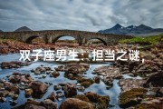 双子座男生：担当之谜，揭秘