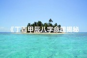 《丁酉甲辰八字命理揭秘：运势解析之道》