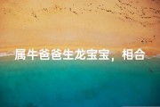 属牛爸爸生龙宝宝，相合吗？揭秘生肖配对奥秘