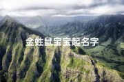 金姓鼠宝宝起名字