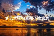 梦见大狼狗晕死了啥意思—梦见一只大狼狗向我扑来