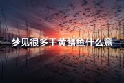 梦见很多干黄鳝鱼什么意思_梦见很多干黄鳝鱼什么意思啊