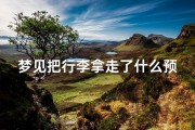 梦见把行李拿走了什么预兆(梦见自己拿行李)