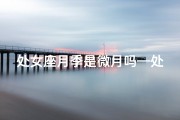 处女座月季是微月吗—处女座月季：是微月还是独特品种？