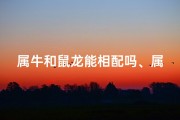 属牛和鼠龙能相配吗、属牛与鼠龙相配之谜：缘分还是巧合？