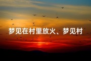 梦见在村里放火、梦见村里放炮仗是什么意思