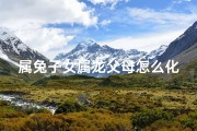 属兔子女属龙父母怎么化解_属兔的母亲属龙的女儿吵架