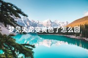 梦见天龙变黄色了怎么回事;女人梦见天龙是什么意思