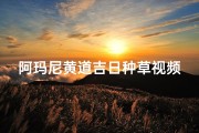 阿玛尼黄道吉日种草视频-阿玛尼黄道吉日种草，抢购必看