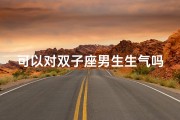 可以对双子座男生生气吗