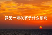 梦见一堆秋裤子什么预兆;梦见成堆的裤子