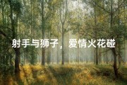 射手与狮子，爱情火花碰撞？