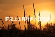 梦见上山有好多人还有烧香的_梦见上山上香
