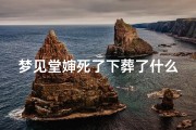梦见堂婶死了下葬了什么意思_梦见堂婶说话
