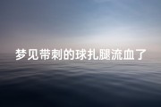 梦见带刺的球扎腿流血了-梦见带刺的球扎腿流血了怎么回事