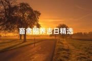 畜禽圈养吉日精选
