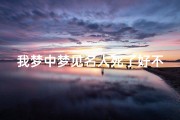 我梦中梦见名人死了好不好,梦见名人好吗