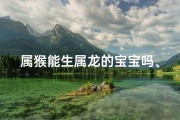 属猴能生属龙的宝宝吗、生肖猴生个龙宝宝好不好