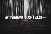 运字辈的名字取什么好—《运字辈取名：探寻独特韵味与吉祥寓意》
