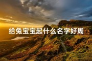 给兔宝宝起什么名字好周姓-周姓兔宝宝，起名大作战